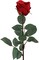 24-Pack: Red Rose Bud Stems with Silk Foliage - Lifelike Floral for Arrangements, Weddings & Home Decor, Floral Home by Artificial Flowers